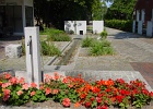 DSC03295